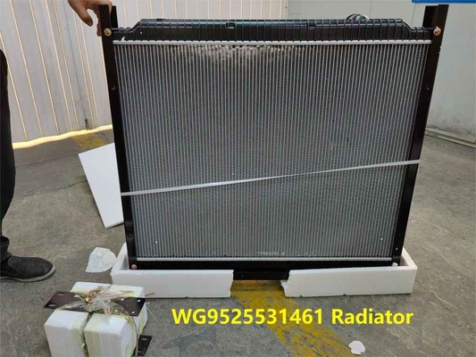 Ραδιενεργός WG9525531461 HOWO Τροχαία εξαρτήματα